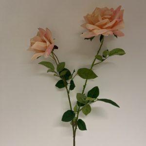 Roses Couleur Saumon – CH0245-5