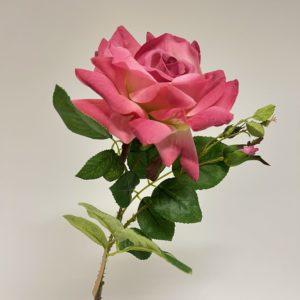 Rose Couleur Rose soutenu – CH0584-5