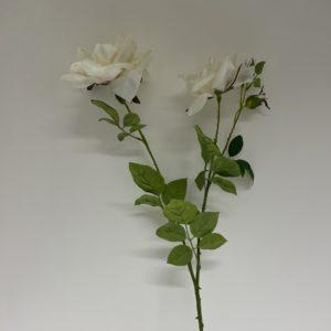 Rose Couleur Blanche – CH0857-8