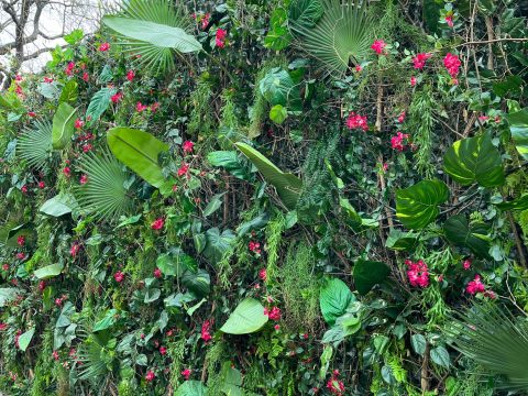 LVMH Jardin Acclimatation – Neuilly 2023