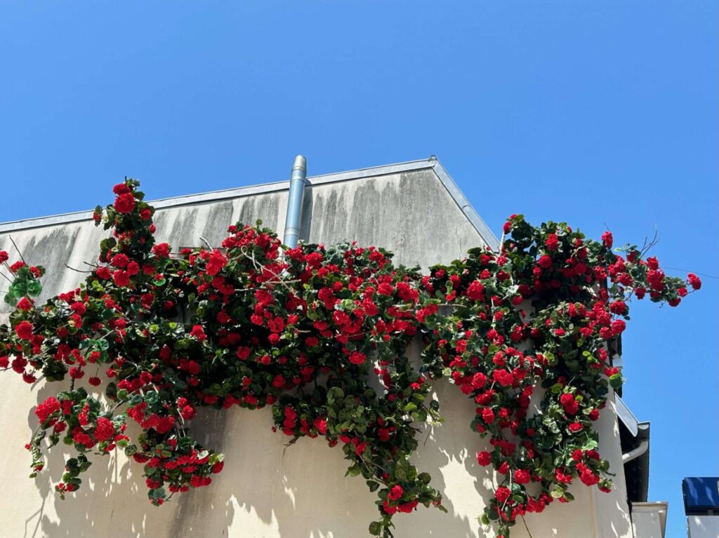 Les mouettes trouville Deschamps 6