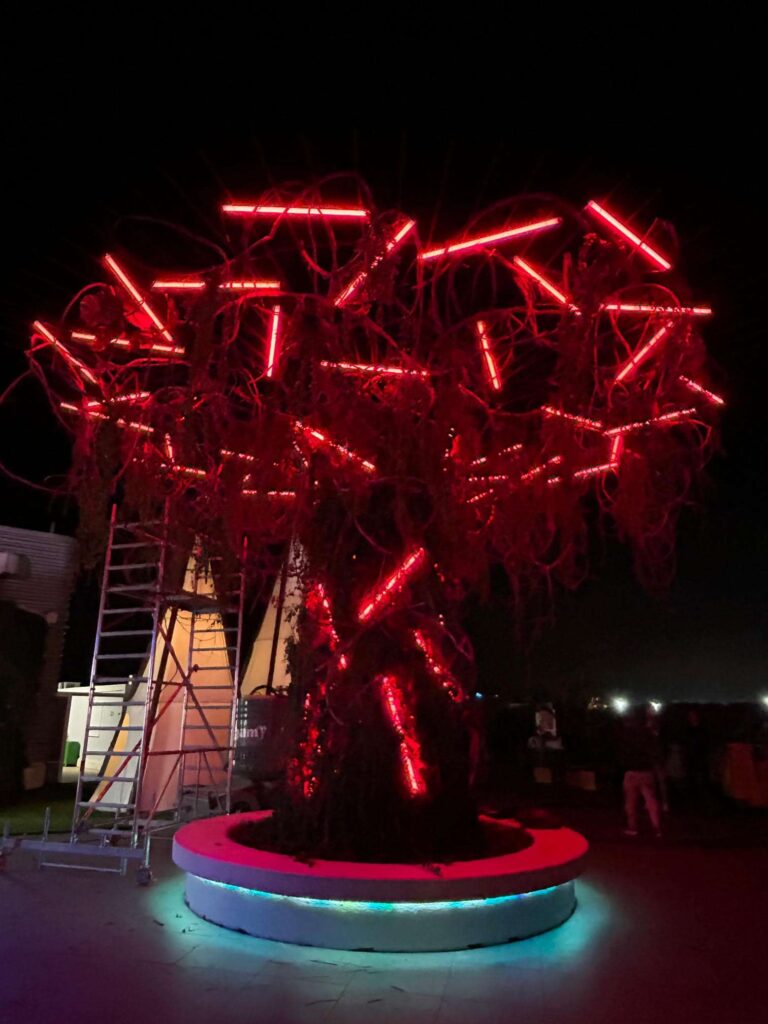 arbres reconstitués7