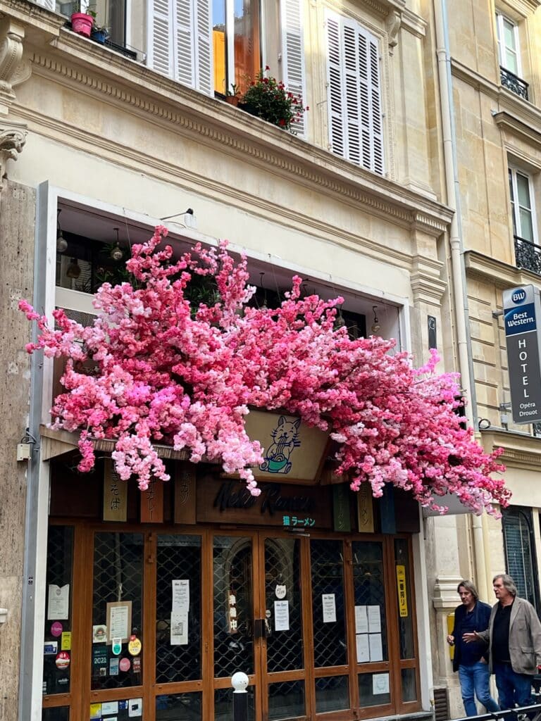 Neko Ramen deco florale exterieure et intérieure Deschamps Luc (1)