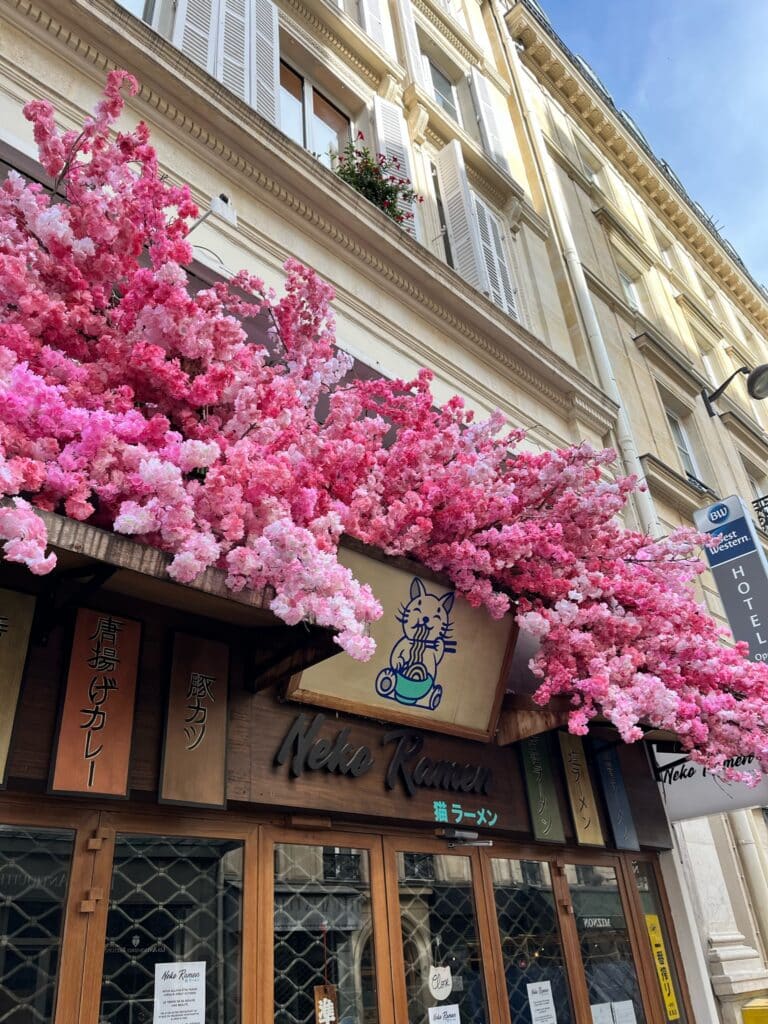 Neko Ramen deco florale exterieure et intérieure Deschamps Luc (10)