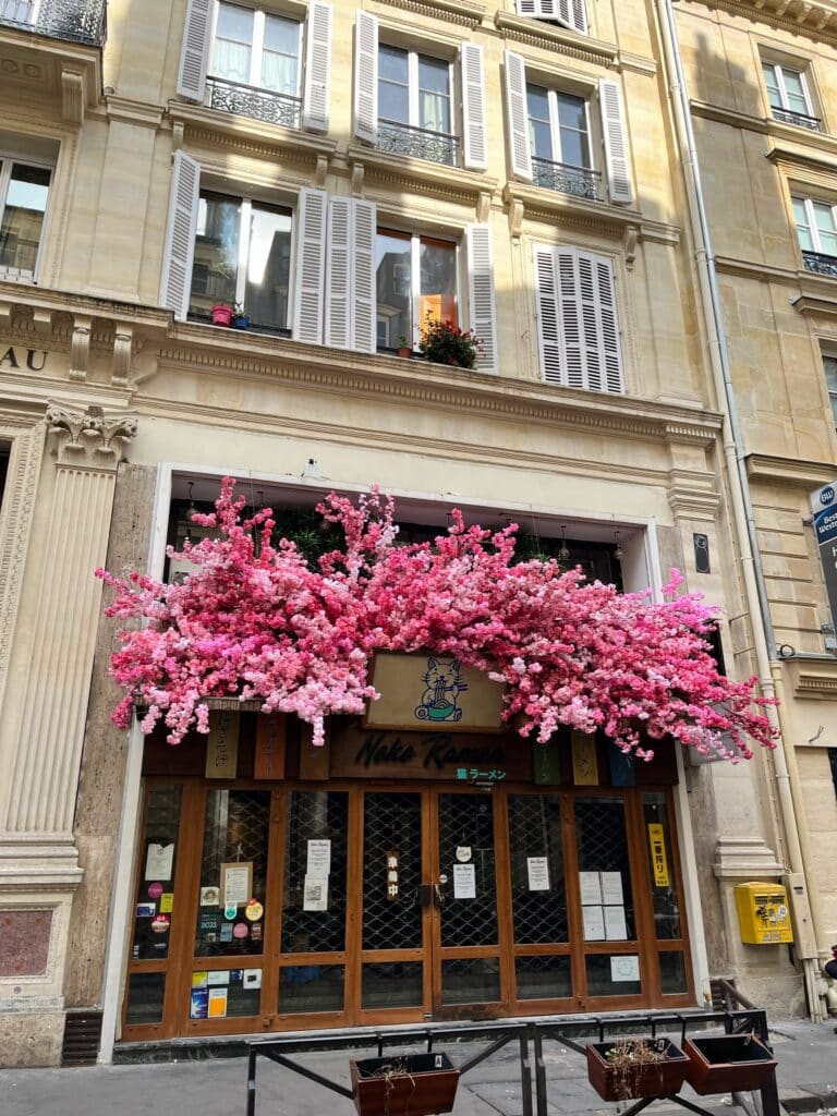 Neko Ramen deco florale exterieure et intérieure Deschamps Luc (2)