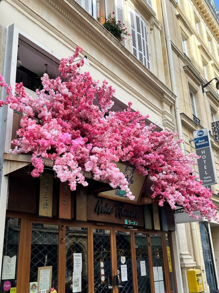 Neko Ramen deco florale exterieure et intérieure Deschamps Luc (9)