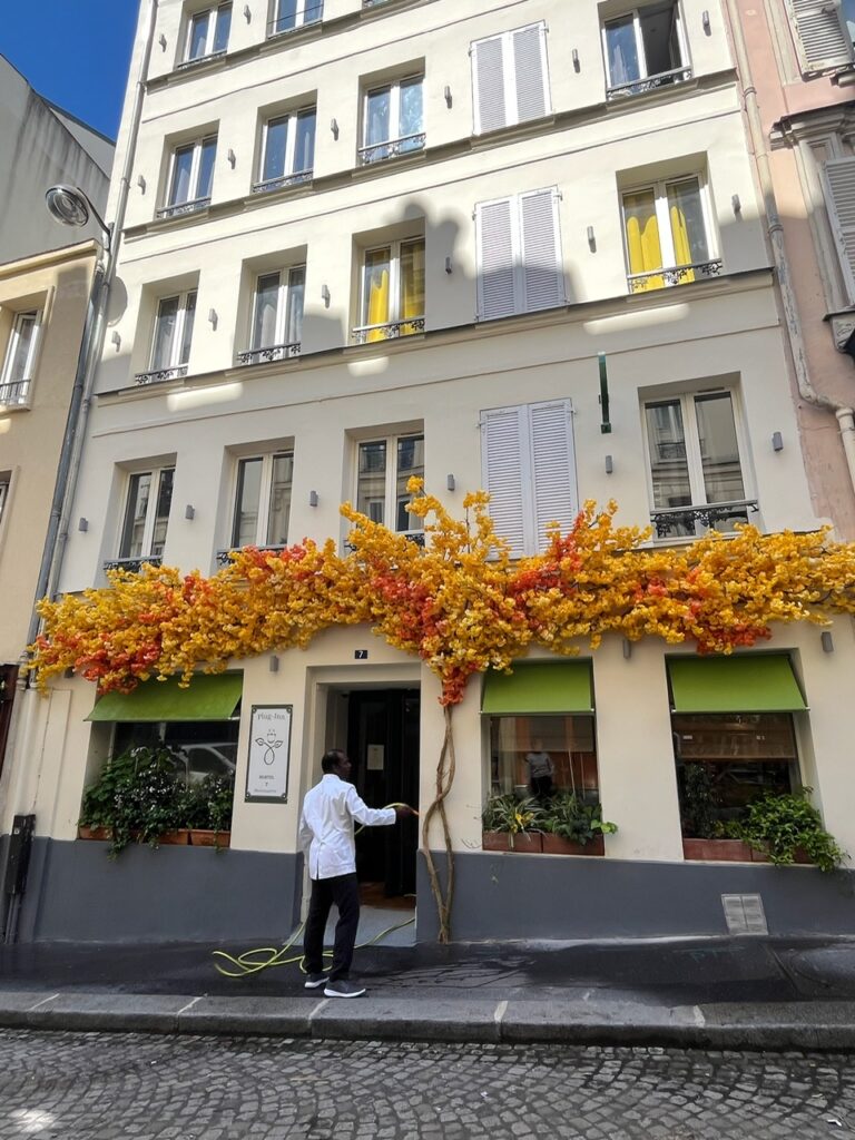 PlugInn deco Deschamps (1)