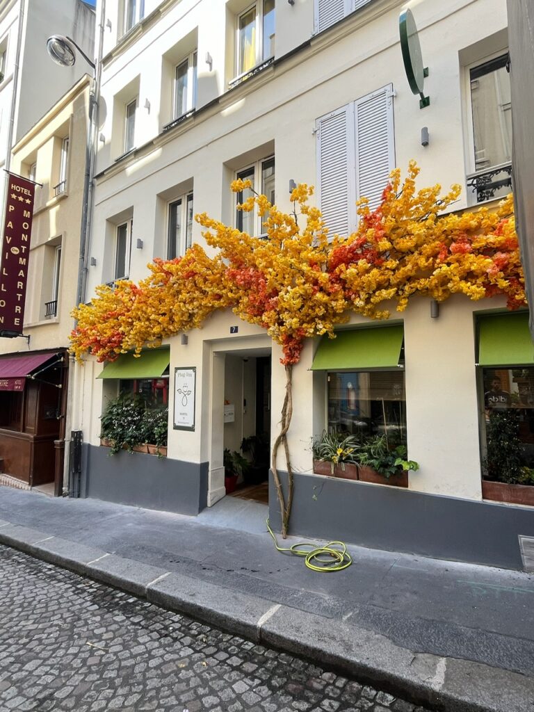 PlugInn deco Deschamps (2)