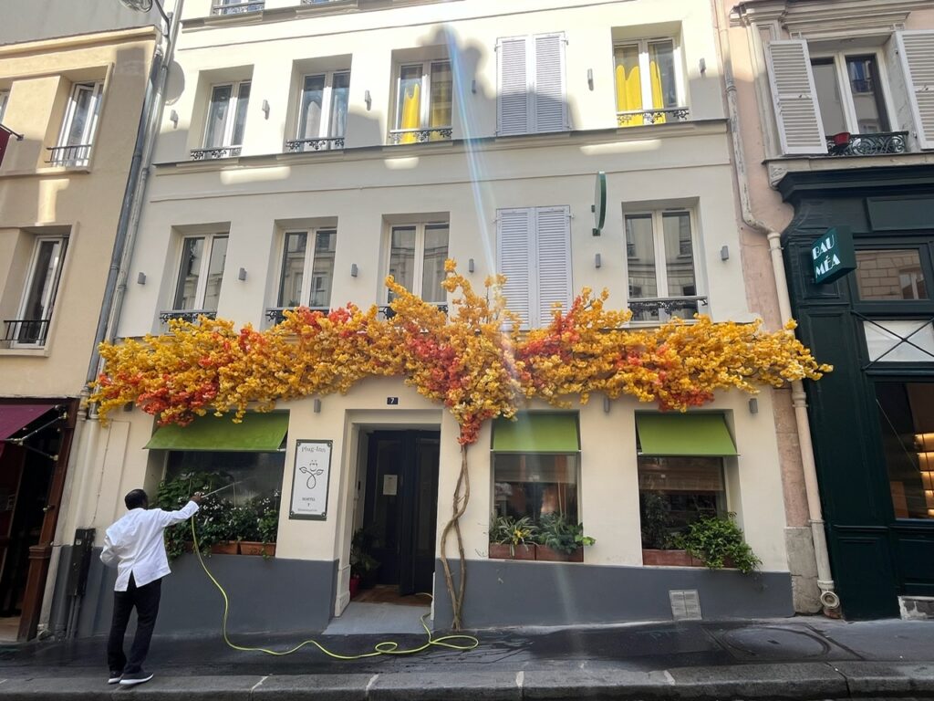 PlugInn deco Deschamps (4)