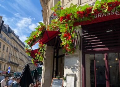 Le Saint Amour – Paris 2024
