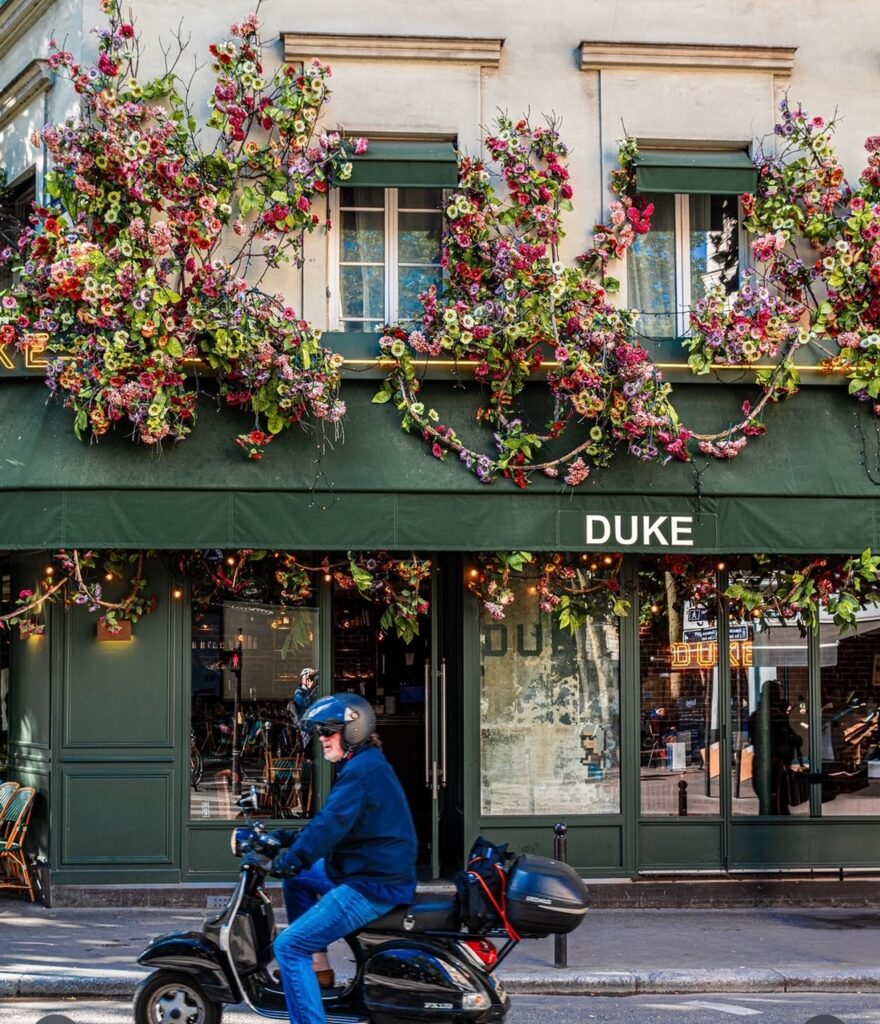Duke (3)