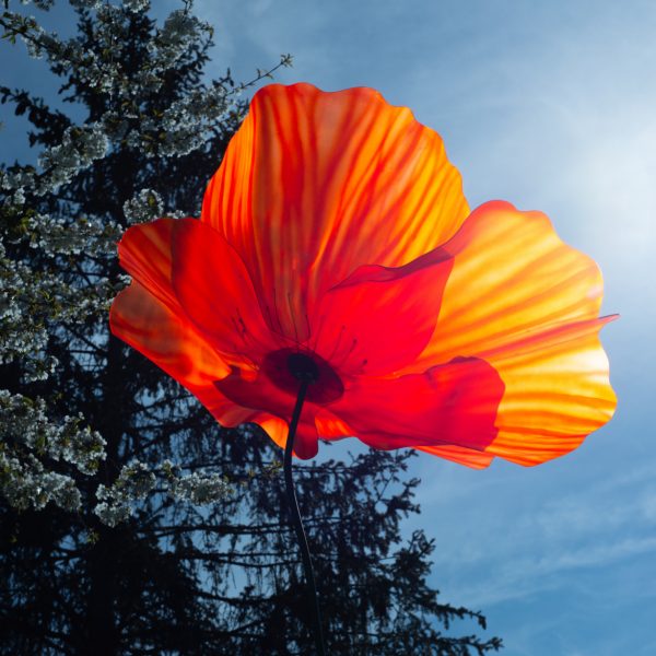 Fleur geante plexi