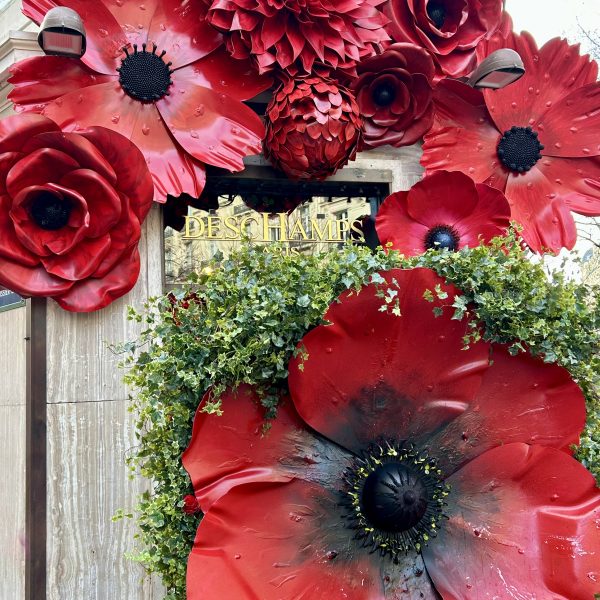 Fleurs geantes (3)