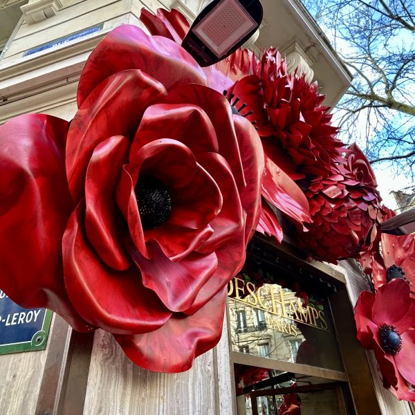 Fleurs geantes (4)