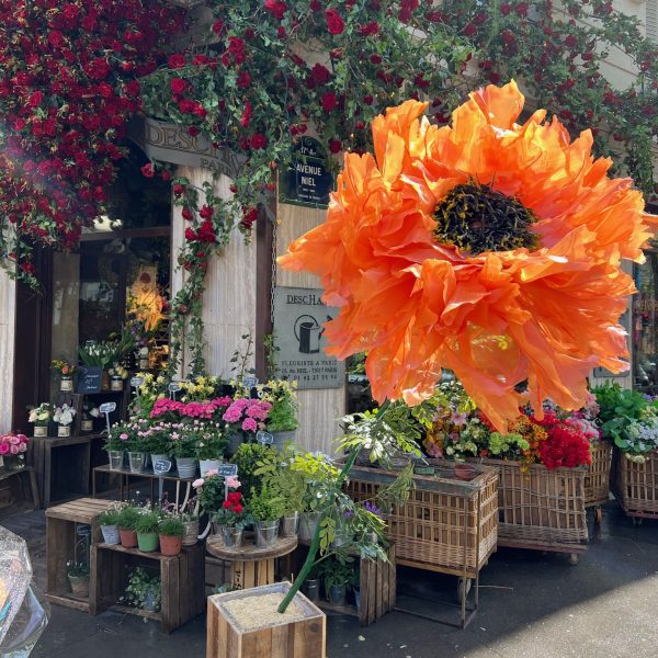 Fleurs geantes (5)