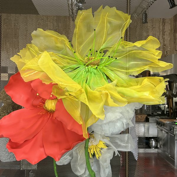 Fleurs geantes (6)