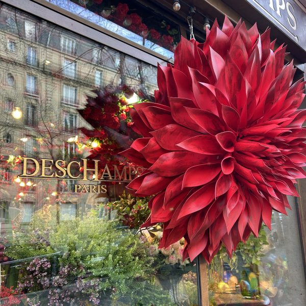 Fleurs geantes (8)