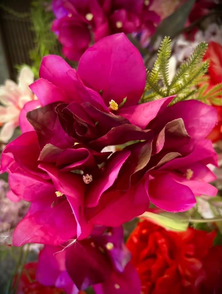 Fleurs artificielles roses fushia