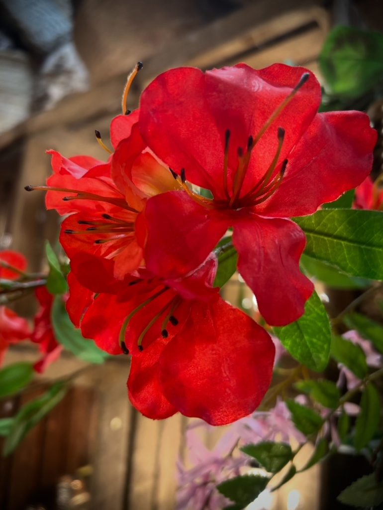 Fleurs artificielles rouges