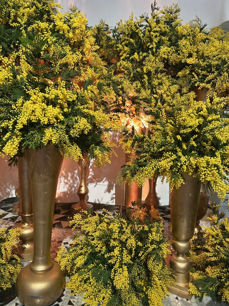 decoration florale en mimosa