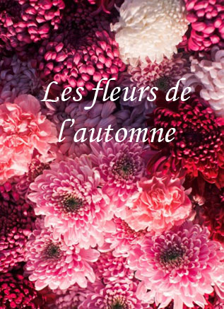 Les fleurs de l'automne